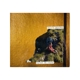 carnet-de-route-bourban-sylvie-vizir-records-cd-_0001.JPG