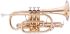 cornet-sib-john-packer-jp271sw-laque-dore-_0001.jpg