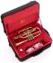 cornet-sib-john-packer-jp271sw-laque-dore-_0002.jpg