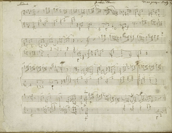 joseph-haydn-variationen-hob-xvii6-f-minor-pno-_fa_0006.JPG