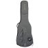 ritter-carouge-bass-guitar-elephant-grey-zubehoer-_0001.jpg
