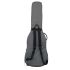 ritter-carouge-bass-guitar-elephant-grey-zubehoer-_0003.jpg