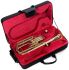 alto-horn-john-packer-jp272l-lacquered-gold-_0002.jpg