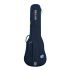 ritter-carouge-les-paul-guitar-atlantic-blue-zubeh_0001.jpg