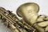 saxophone-alto-selmer-supreme-mat-dore-_0002.jpg