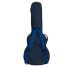 ritter-carouge-335-guitar-atlantic-blue-accessoire_0003.jpg