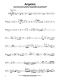 pirates-of-the-caribbean-vc-_notendownloadcode_-_0006.JPG