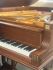 Flügel Steinway & Sons-0004.jpg