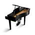 Piano à queue numérique-0002.jpg