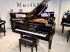 Bösendorfer GP-200 Flügel-0001.jpg