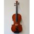 Meistervioline-0003.jpg