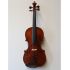 Meistervioline-0001.jpg