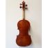 Meistervioline-0002.jpg