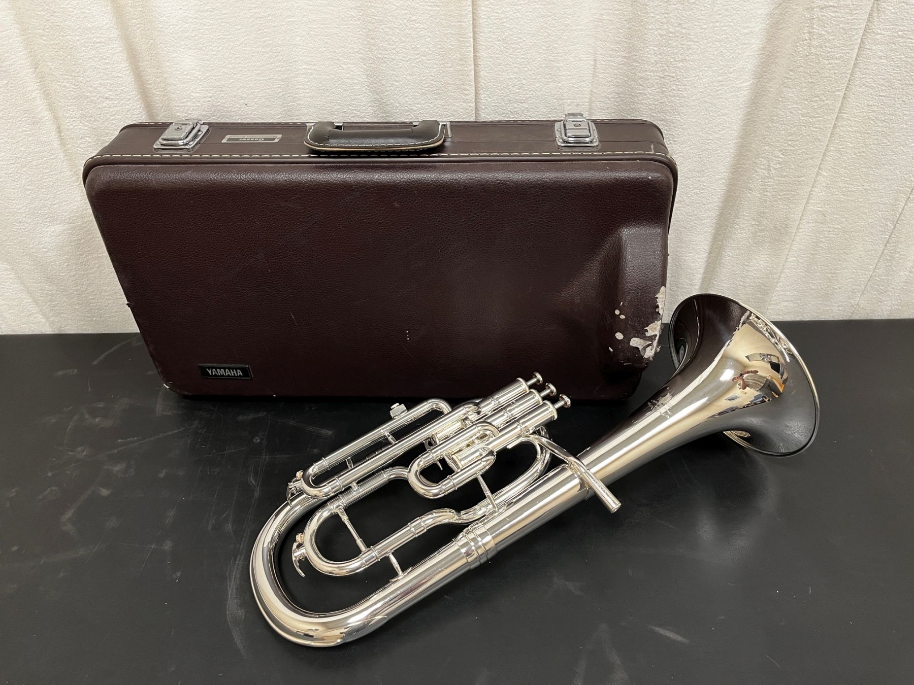 Occasion Es-Horn-0001.jpg