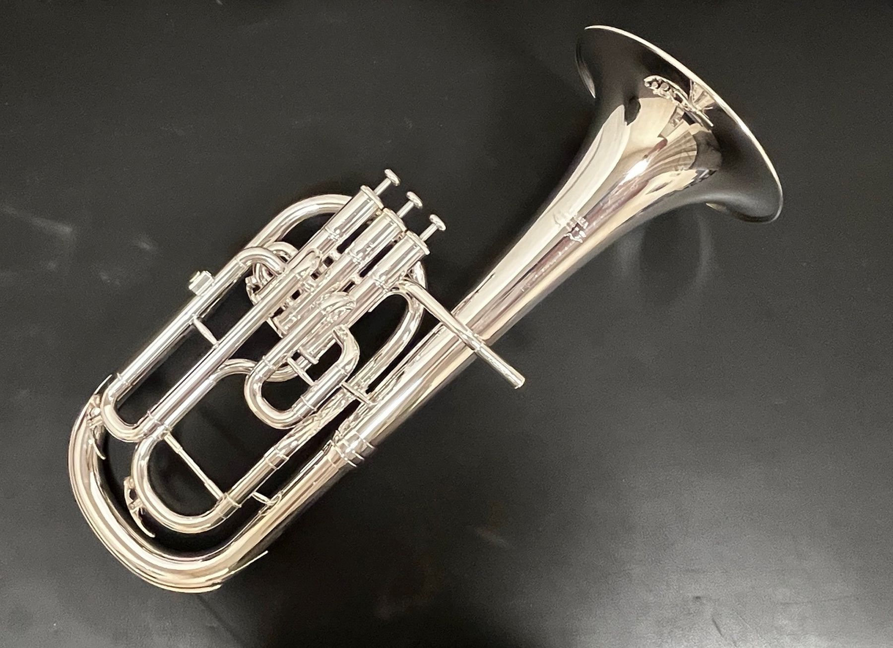 Occasion Es-Horn-0002.jpg