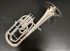 Occasion Es-Horn-0002.jpg