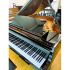 Piano à queue-0002.jpg