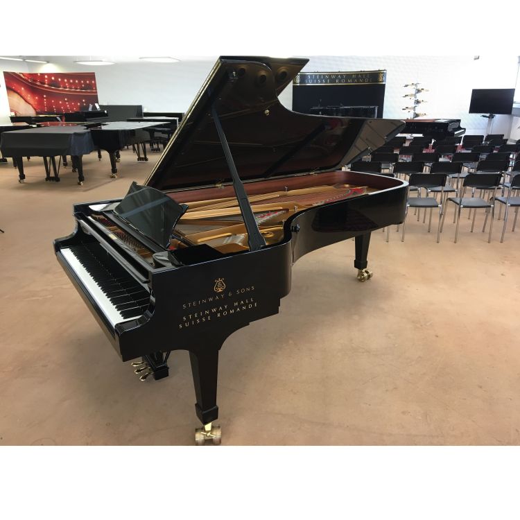 Piano à queue Steinway & Sons D-274-0002.jpg